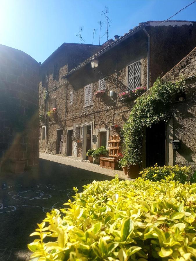 La Casa Dei Libri Villa Sutri Bagian luar foto